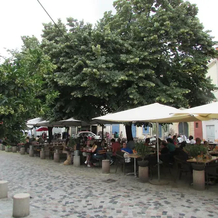 Typique Et Cosy Climatise. * Arles
